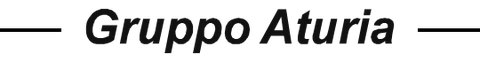 Логотип FINDER Pompe