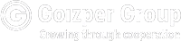 Логотип Goizper