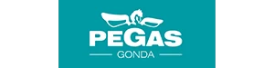 Логотип PEGAS-GONDA