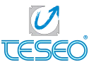 Логотип TESEO