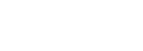 Логотип VARISCO