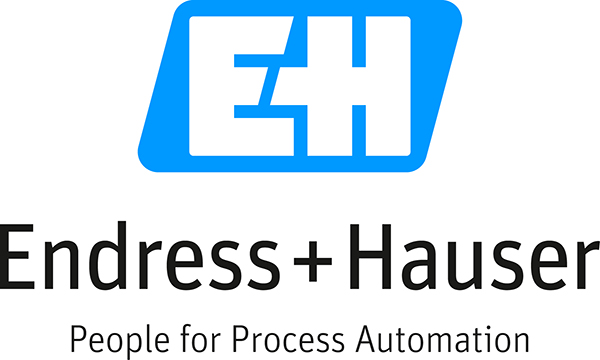 ENDRESS HAUSER — логотип производителя